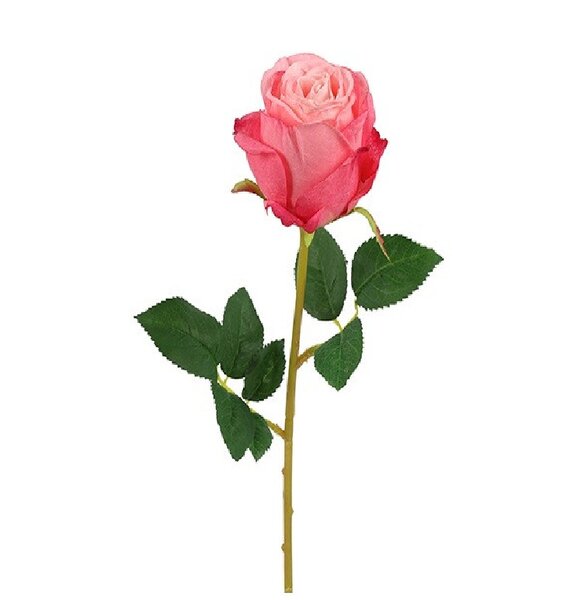 Decostar Kunstbloem Rosa Compasion roze