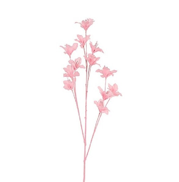Kunstbloem Pastel Bold Bauhinia roze