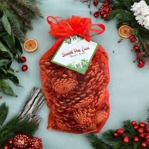 SCENTED PINE CONES RED BAG 