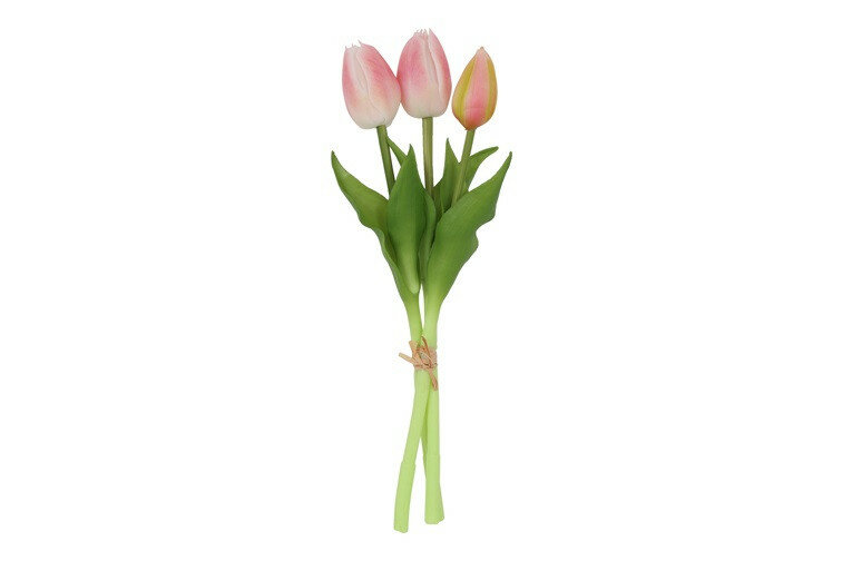Boeket Tulp Tulipa 3 3Dp roze/-12x12x29CM