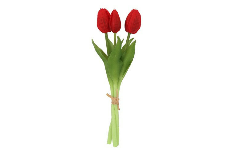 Boeket Tulp Tulipa 3 rood-12x12x29CM