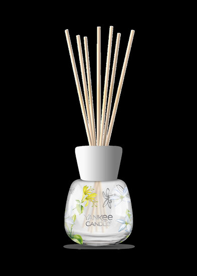 YC Midnight Jasmine Signature Reed Diffuser