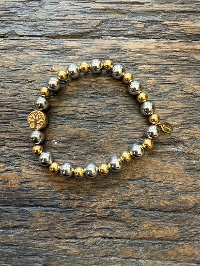 Stainless steel limited edition AVL 4