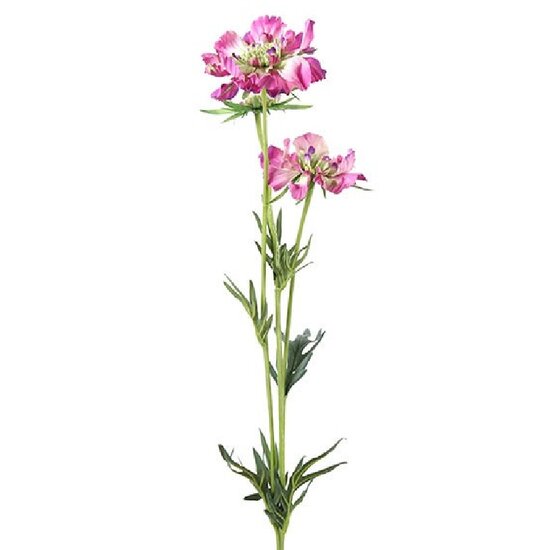 Kunstbloem Scabiosa jose paars