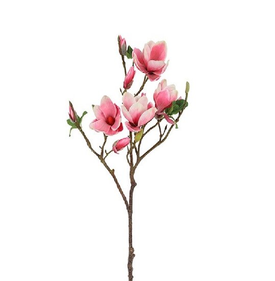 Magnolia Seeds XL roze