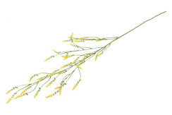 Kunstbloem Melilotus geel 1