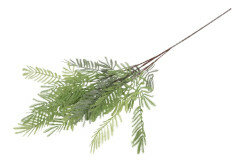Kunstblad mimosa licht groen 1