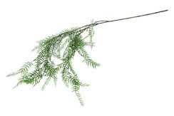 Kunstblad monilophyta groen 1