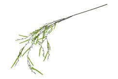 Kunsttak betula pendula groen