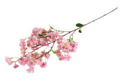 Kunstbloem Sakura M lila 1