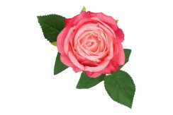 Decostar Kunstbloem Rosa Compasion roze 1