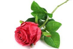 Kunstbloem rosa veelkleurig 776446