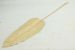 Kunstblad Canna metallic champagne webshop