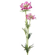 Kunstbloem Scabiosa jose paars
