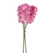 Hyacinth 3 d.roze