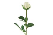 Kunstbloem Rosa wit 776424