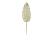 Kunstblad Canna metallic champagne-L0,5B20H99CM