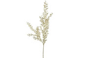 Kunstblad Ruscus metallic champagne-L5B14H92CM