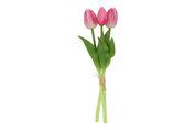 Boeket Tulp Tulipa 3 3Dp d.roz-12x12x29CM