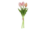 Boeket Tulp Tulipa 3 3Dp roze/-12x12x29CM