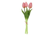 Boeket Tulp Tulipa 3 roze-12x12x29CM